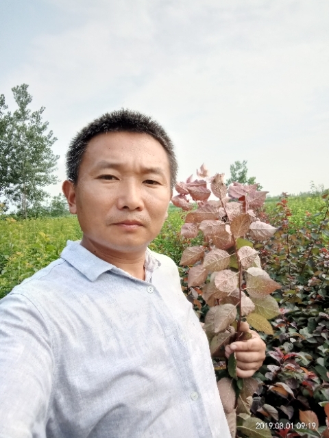 孩子爸的第一张照片--合肥相亲服务中心