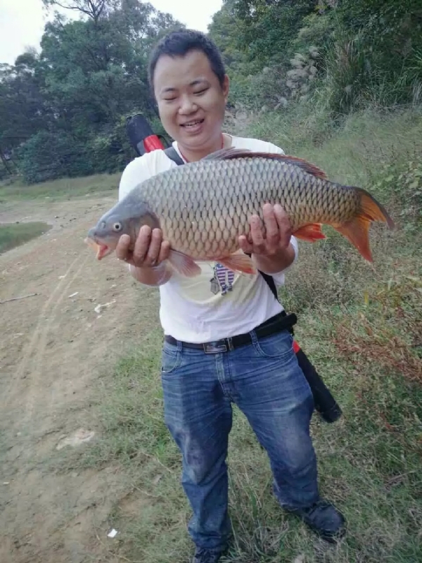 迷路的男人的第一张照片--合肥相亲服务中心